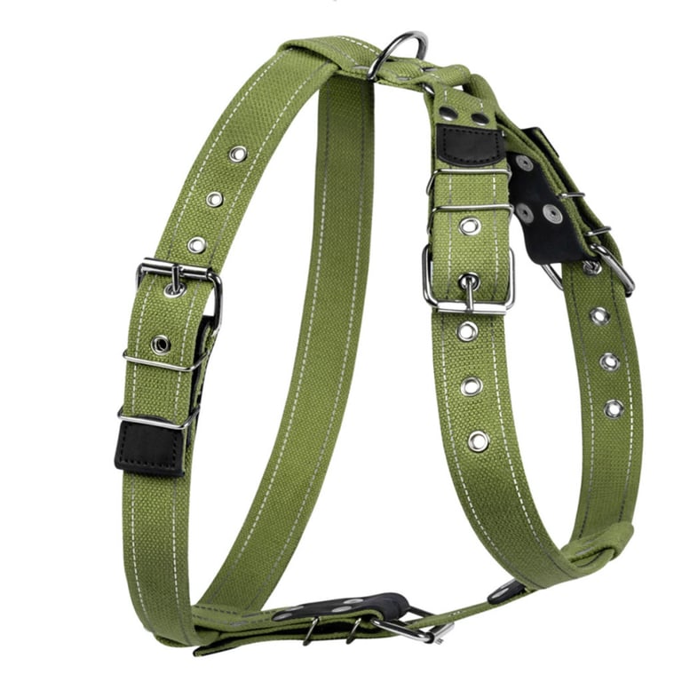 Шлея для собак Collar для великих собак N3 72-94 см зелена (0647) - фото 2