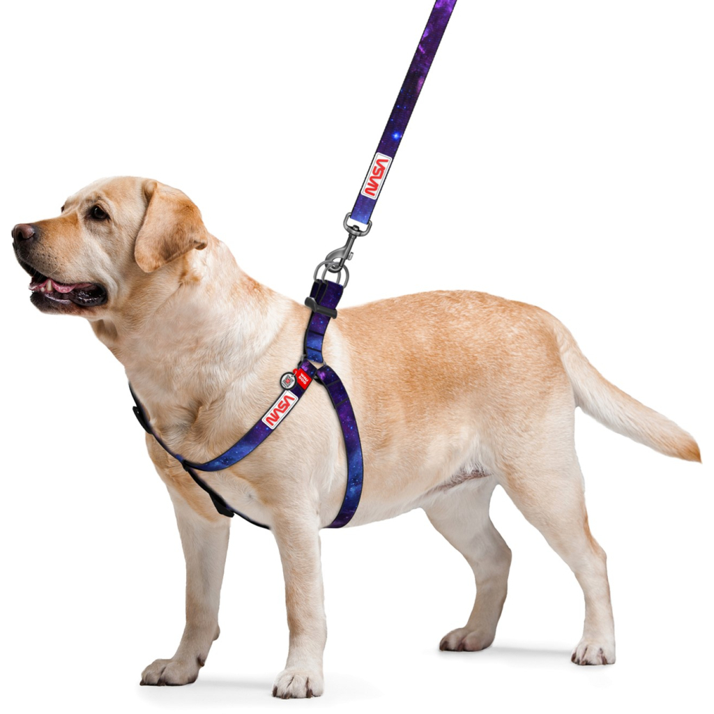 Шлея для собак WAUDOG Nylon з QR-паспортом "NASA21" M (4801-0148) - фото 2 Шлея для собак WAUDOG Nylon з QR-паспортом "NASA21" M (4801-0148) - фото 2