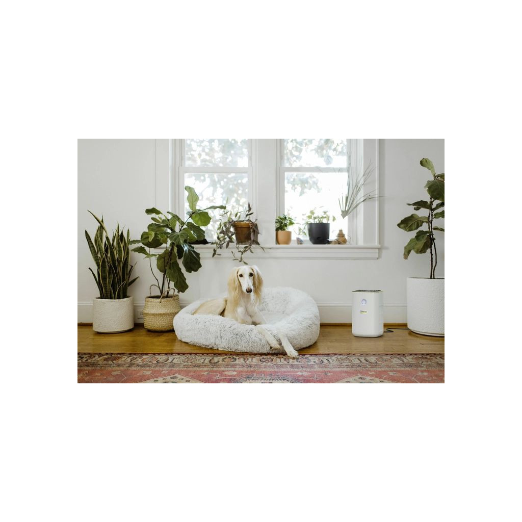 Очисник повітря Karcher AF 20 (1.024-820.0) - фото 4 Очисник повітря Karcher AF 20 (1.024-820.0) - фото 4