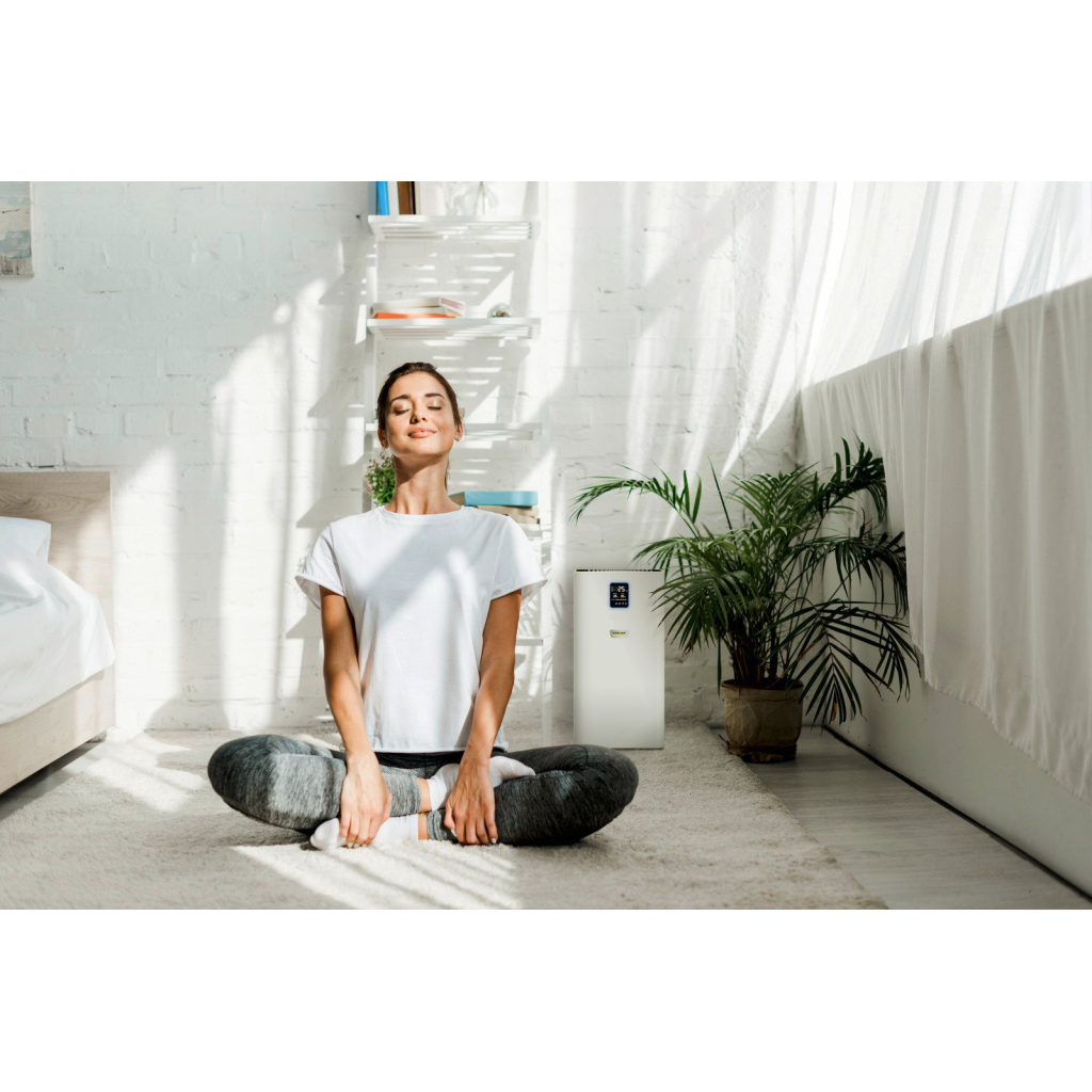 Очисник повітря Karcher AF 30 (1.024-821.0) - фото 8 Очисник повітря Karcher AF 30 (1.024-821.0) - фото 8