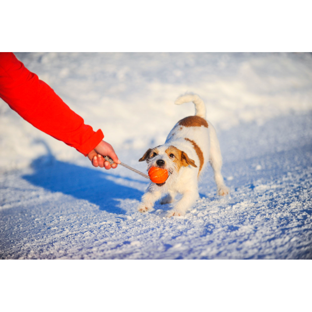 Іграшка для собак Liker Cord М'ячик з мотузкою 9 см (6297) - фото 3 Іграшка для собак Liker Cord М'ячик з мотузкою 9 см (6297) - фото 3