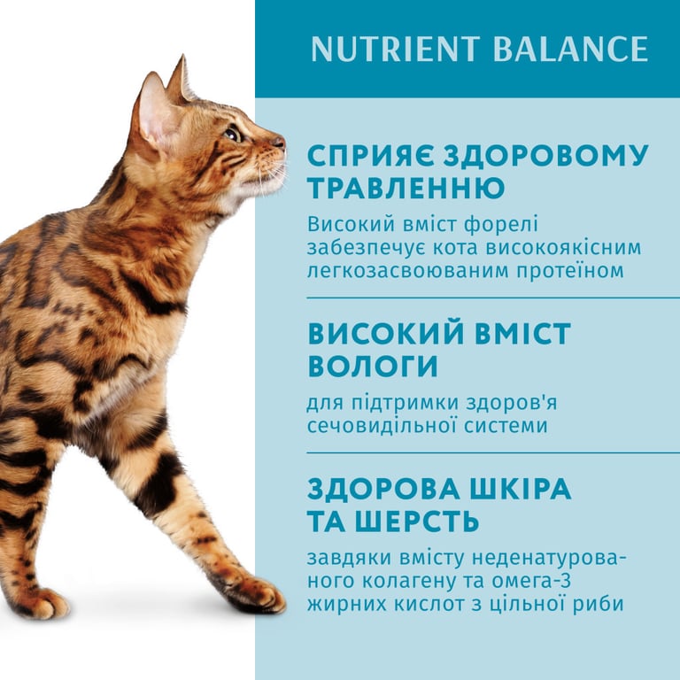 Вологий корм для кішок Optimeal з фореллю в кремовому соусі 85 г (4820215365864) - фото 5