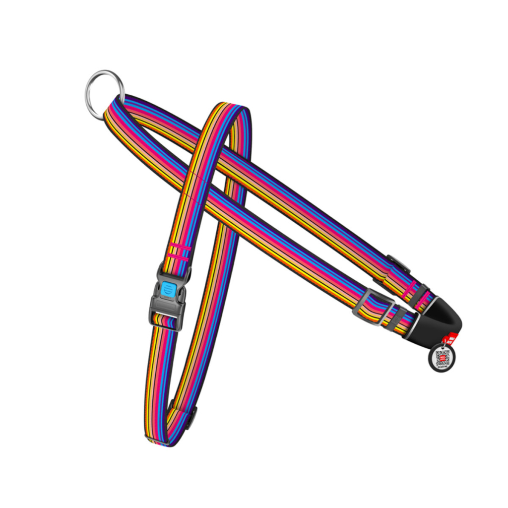 Шлея для собак WAUDOG Nylon з QR-паспортом 