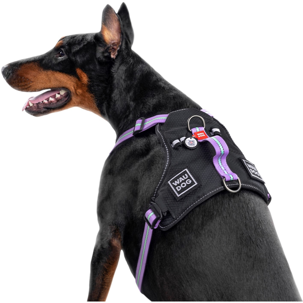 Шлея для собак WAUDOG Nylon безпечна з QR паспортом L фіолетова (52509) - фото 4 Шлея для собак WAUDOG Nylon безпечна з QR паспортом L фіолетова (52509) - фото 4