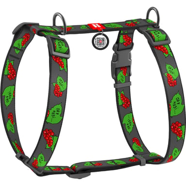 Шлея для собак WAUDOG Nylon з QR паспортом анатомічна H-подібна "Калина" L (5160-0228) - фото 1