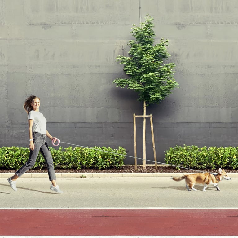 Повідець для собак WAUDOG R-leash світловідбиваюча стрічка XS-M до 40 кг 2.9 м рожевий (81277) - фото 5