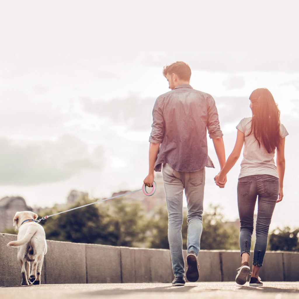 Повідець для собак WAUDOG R-leash світловідбиваюча стрічка XS-M до 40 кг 2.9 м рожевий (81277) - фото 9 Повідець для собак WAUDOG R-leash світловідбиваюча стрічка XS-M до 40 кг 2.9 м рожевий (81277) - фото 9