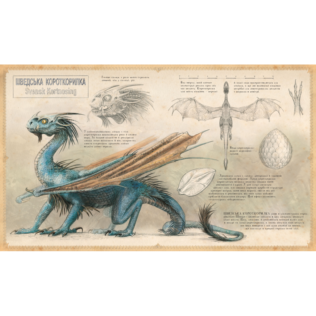 Книга Гаррі Поттер і келих вогню. Велике ілюстроване видання - Джоан Ролінґ А-ба-ба-га-ла-ма-га (9786175851821) - фото 3 Книга Гаррі Поттер і келих вогню. Велике ілюстроване видання - Джоан Ролінґ А-ба-ба-га-ла-ма-га (9786175851821) - фото 3