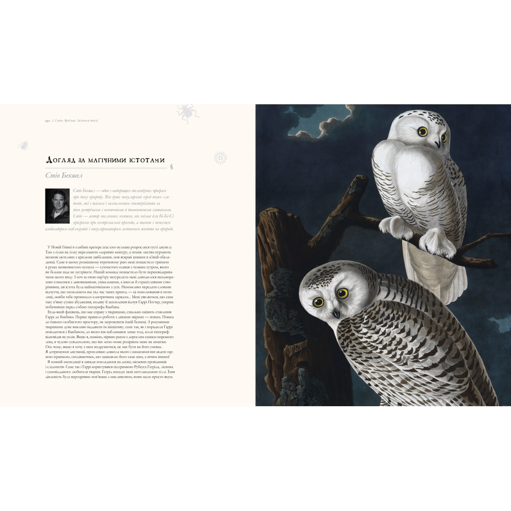 Книга Гаррі Поттер. Історія магії. Велике ілюстроване видання - Джоан Ролінґ А-ба-ба-га-ла-ма-га (9786175851685) - фото 2 Книга Гаррі Поттер. Історія магії. Велике ілюстроване видання - Джоан Ролінґ А-ба-ба-га-ла-ма-га (9786175851685) - фото 2