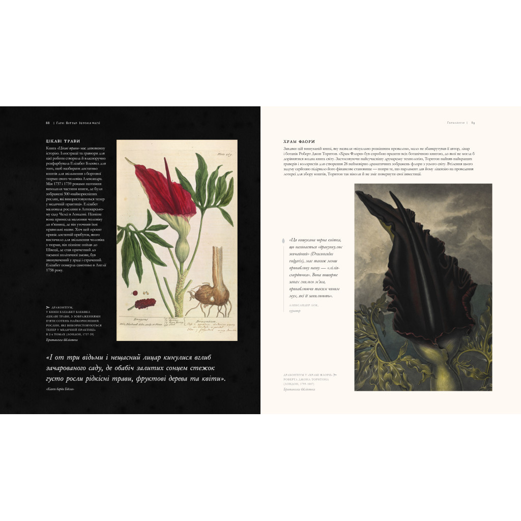 Книга Гаррі Поттер. Історія магії. Велике ілюстроване видання - Джоан Ролінґ А-ба-ба-га-ла-ма-га (9786175851685) - фото 4 Книга Гаррі Поттер. Історія магії. Велике ілюстроване видання - Джоан Ролінґ А-ба-ба-га-ла-ма-га (9786175851685) - фото 4