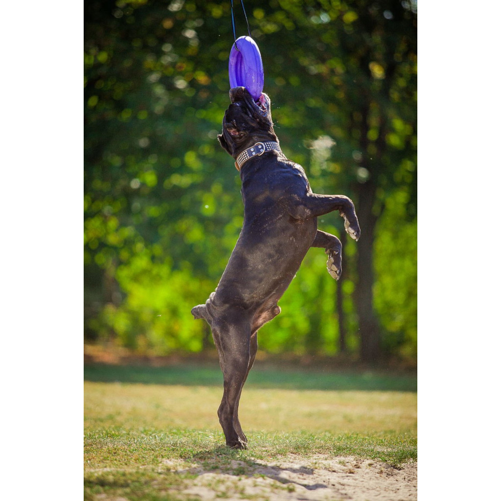 Іграшка для собак Puller Maxi 30 см (6492) - фото 11 Іграшка для собак Puller Maxi 30 см (6492) - фото 11