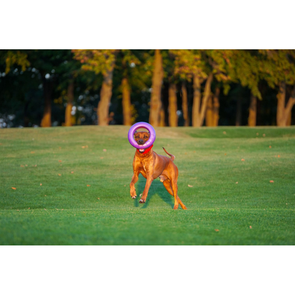 Іграшка для собак Puller Maxi 30 см (6492) - фото 5 Іграшка для собак Puller Maxi 30 см (6492) - фото 5