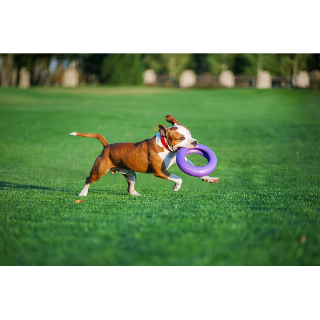 Іграшка для собак Puller Maxi 30 см (6492) - фото 7 Іграшка для собак Puller Maxi 30 см (6492) - фото 7