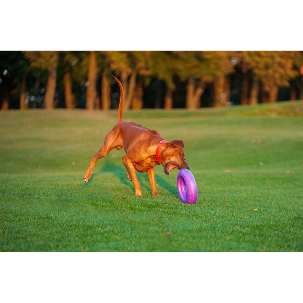 Іграшка для собак Puller Maxi 30 см (6492) - фото 9 Іграшка для собак Puller Maxi 30 см (6492) - фото 9
