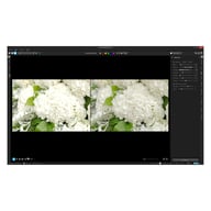 ПЗ для мультимедіа Corel AfterShot Pro 3 ML EN/DE Windows/Mac/Linux (ESDASP3MLPC) - фото 2