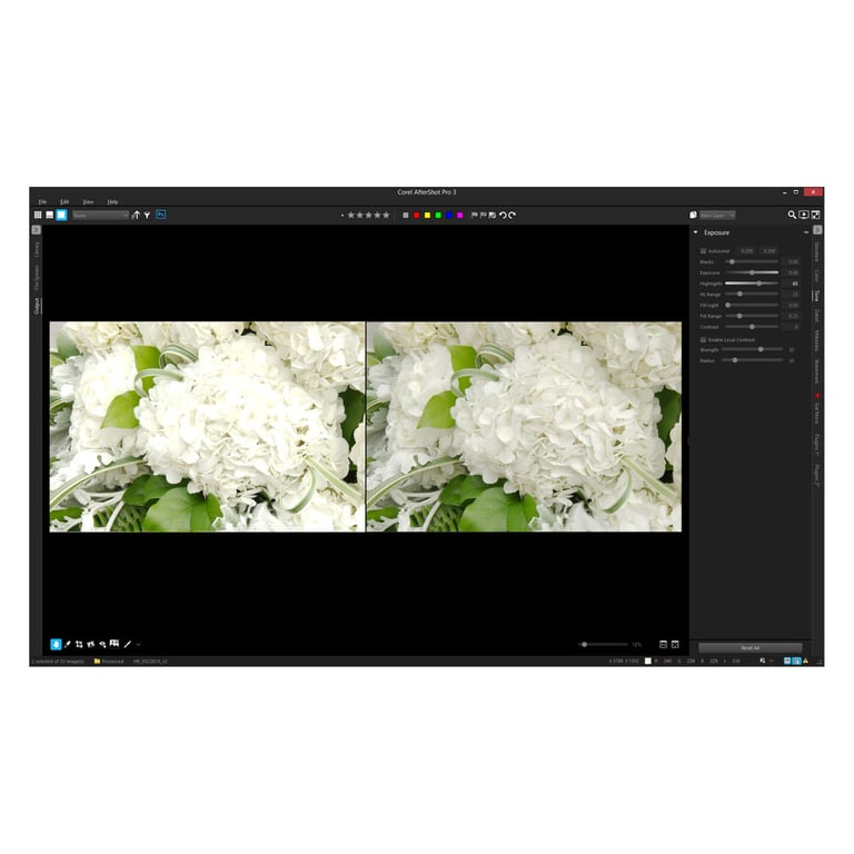 ПЗ для мультимедіа Corel AfterShot Pro 3 ML EN/DE Windows/Mac/Linux (ESDASP3MLPC) - фото 2