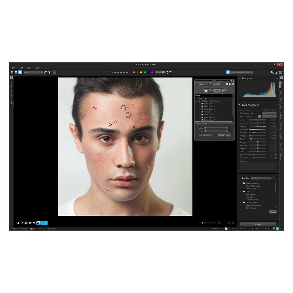 ПЗ для мультимедіа Corel AfterShot Pro 3 ML EN/DE Windows/Mac/Linux (ESDASP3MLPC) - фото 3 ПЗ для мультимедіа Corel AfterShot Pro 3 ML EN/DE Windows/Mac/Linux (ESDASP3MLPC) - фото 3