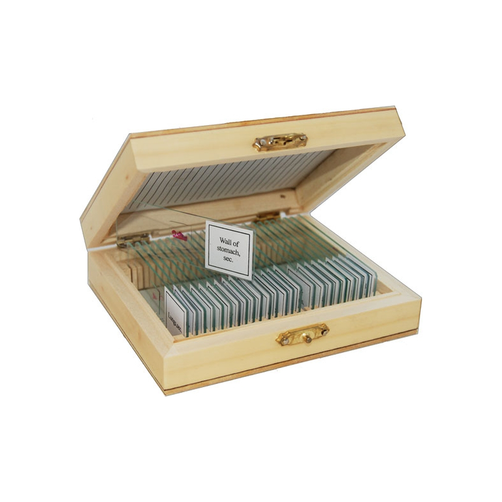 Набір мікропрепаратів Sigeta Анатомія 25 шт (65105) Набір мікропрепаратів Sigeta Анатомія 25 шт (65105)