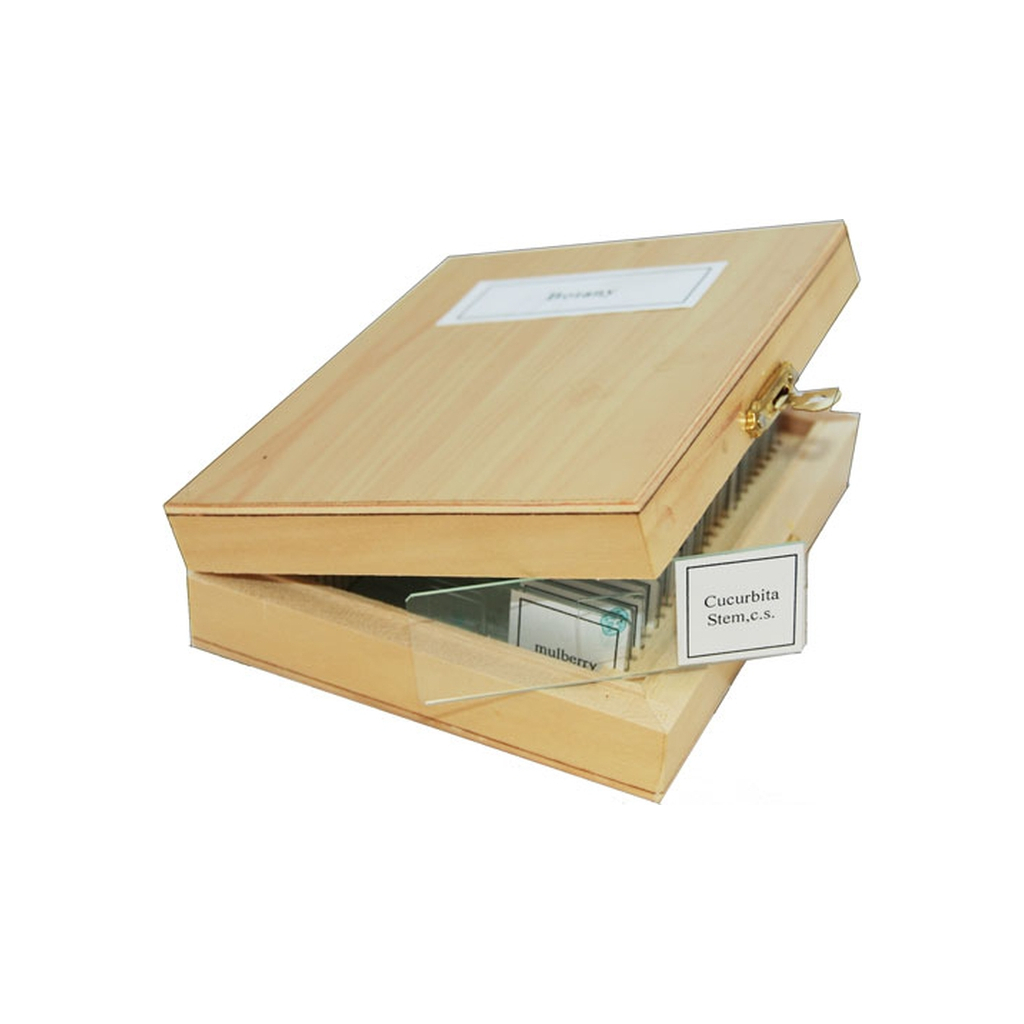 Набір мікропрепаратів Sigeta Зоологія 25 шт (65106) - фото 1 Набір мікропрепаратів Sigeta Зоологія 25 шт (65106) - фото 1