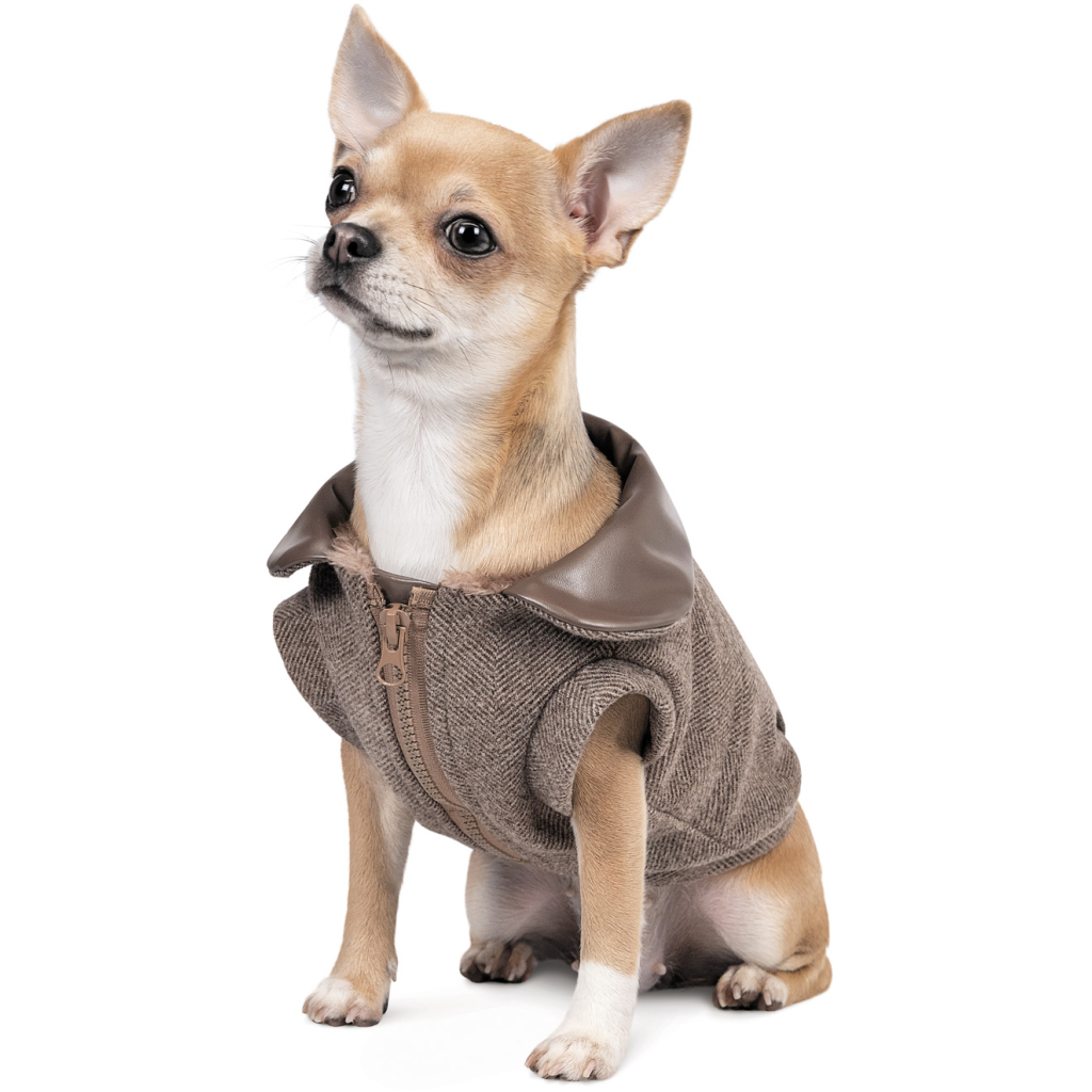 Жилет для тварин Pet Fashion Harry XS2 (4823082430109) - фото 2 Жилет для тварин Pet Fashion Harry XS2 (4823082430109) - фото 2