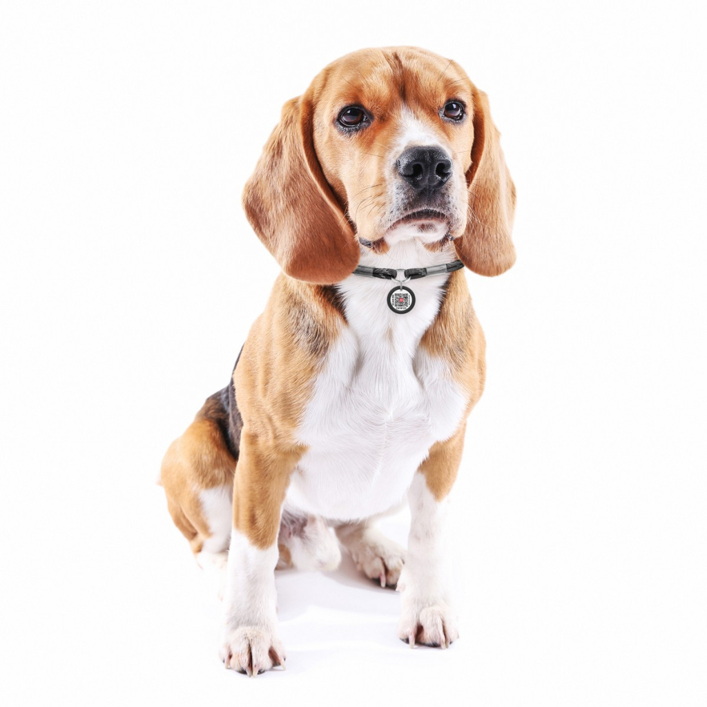 Шнурок для адресника WAUDOG Smart ID S 25-45 см чорний (60381) - фото 2 Шнурок для адресника WAUDOG Smart ID S 25-45 см чорний (60381) - фото 2