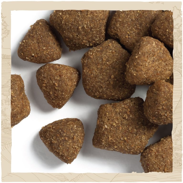 Сухий корм для собак Purina Dog Chow Adult Large Breed зі смаком індички 14 кг (7613034487926) - фото 7