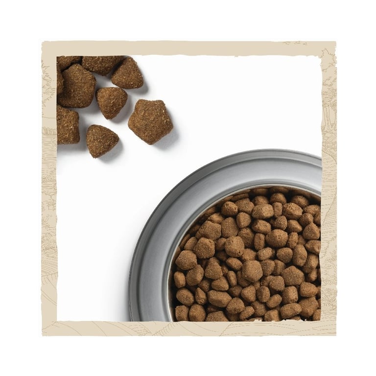 Сухий корм для собак Purina Dog Chow Adult Large Breed зі смаком індички 14 кг (7613034487926) - фото 8