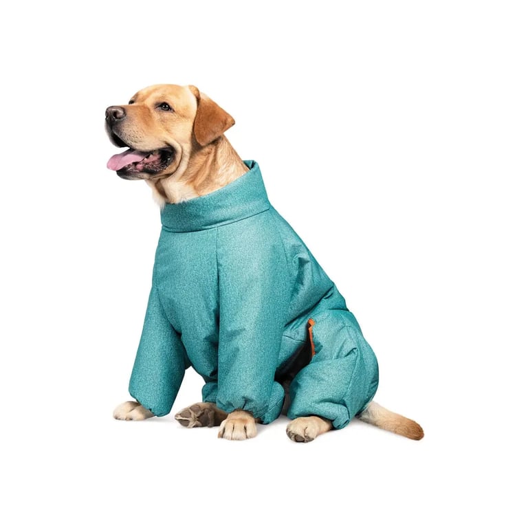 Комбінезон для тварин Pet Fashion «Cold» для такс XS (бірюзовий) (4823082425365) - фото 1