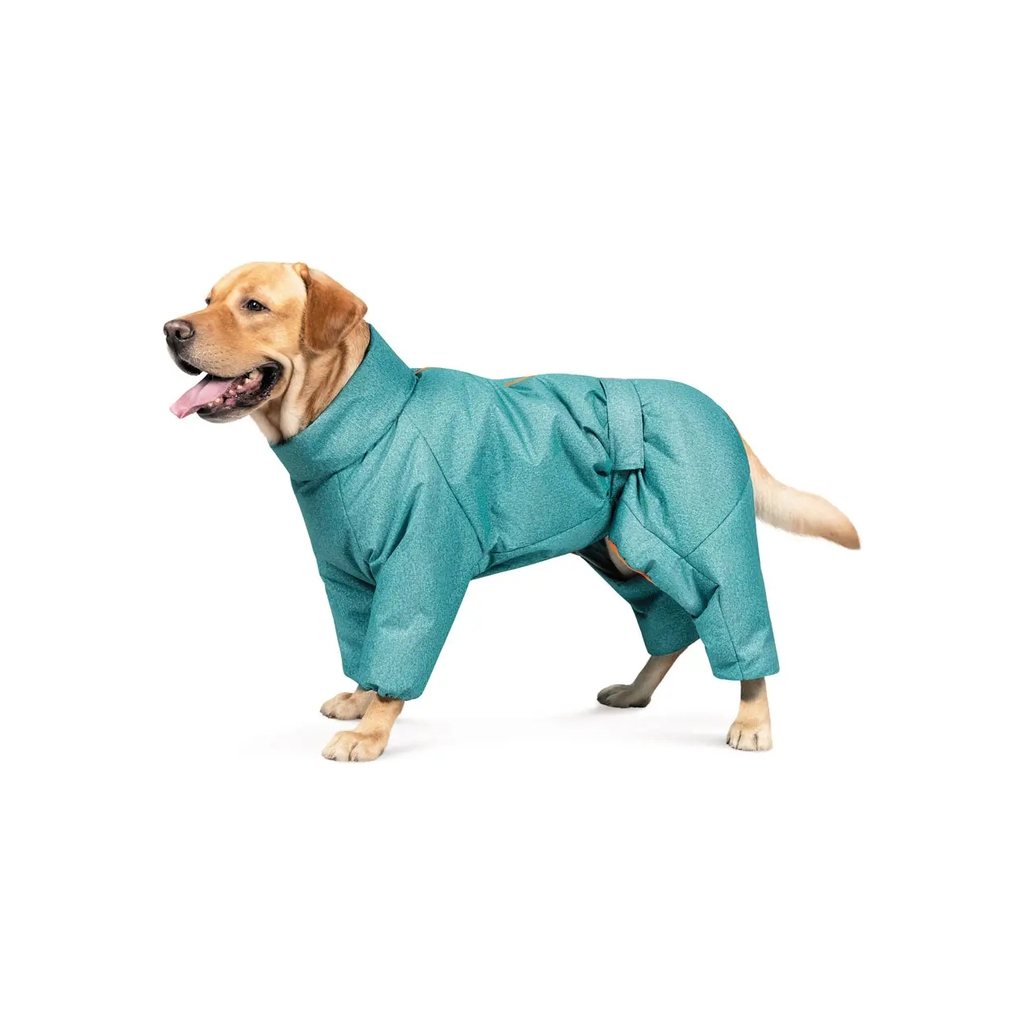 Комбінезон для тварин Pet Fashion «Cold» для такс XS (бірюзовий) (4823082425365) - фото 3 Комбінезон для тварин Pet Fashion «Cold» для такс XS (бірюзовий) (4823082425365) - фото 3