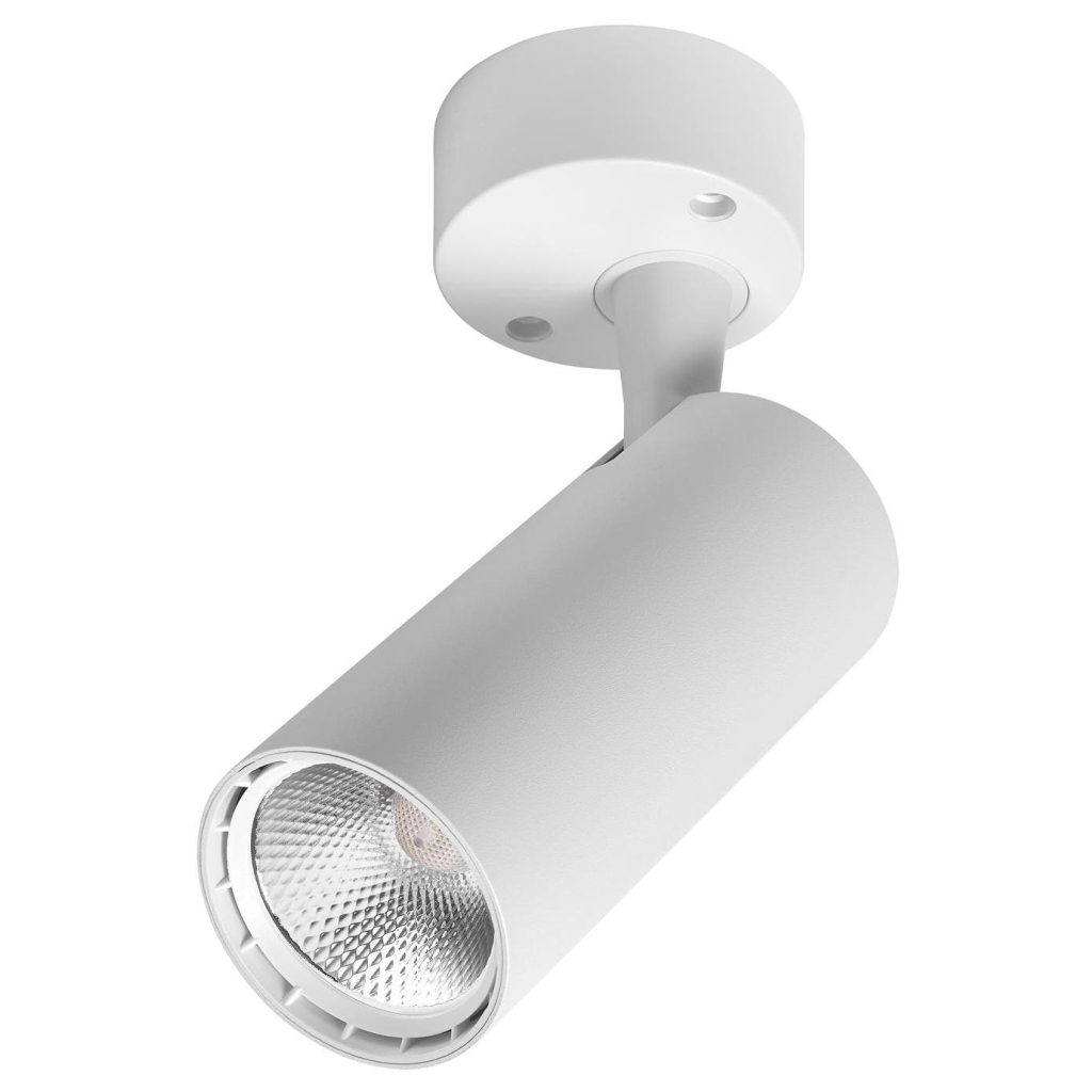 Спот Delux TL02S 10 Вт 4000K (90015886) - фото 1 Спот Delux TL02S 10 Вт 4000K (90015886) - фото 1