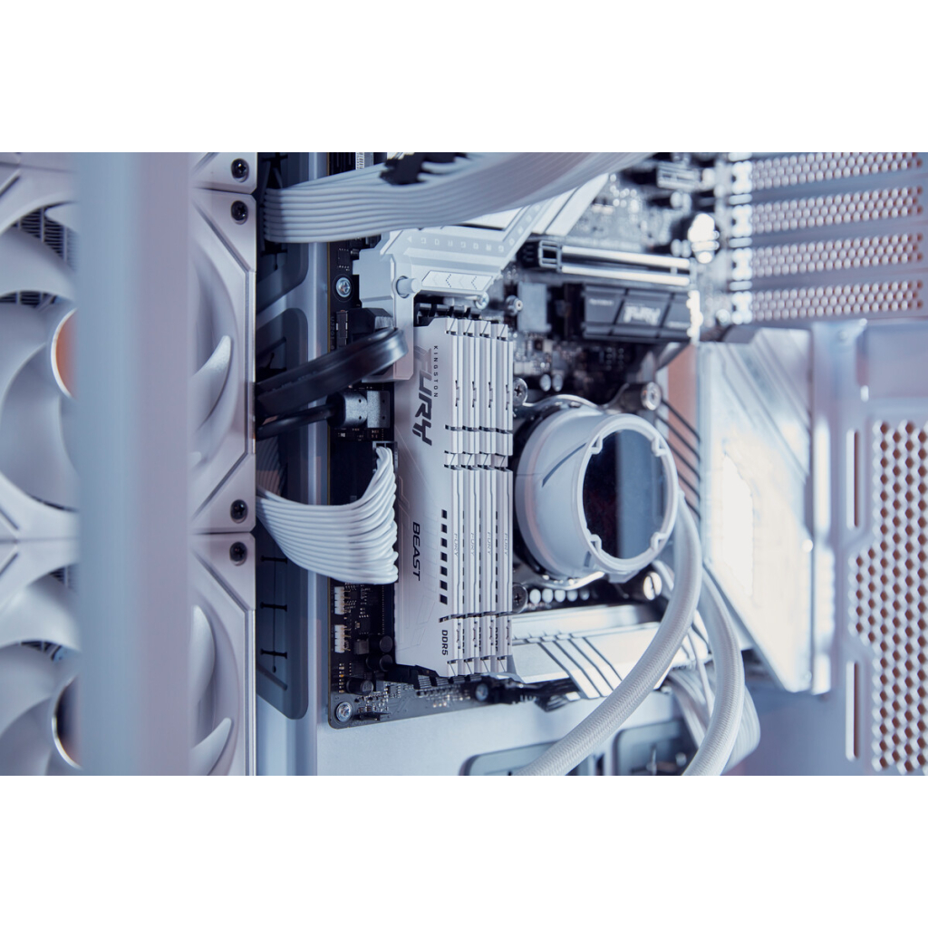 Модуль пам'яті для комп'ютера DDR5 64GB (2x32GB) 5600 MHz Beast White EXPO Kingston Fury (ex.HyperX) (KF556C36BWEK2-64) - фото 7 Модуль пам'яті для комп'ютера DDR5 64GB (2x32GB) 5600 MHz Beast White EXPO Kingston Fury (ex.HyperX) (KF556C36BWEK2-64) - фото 7