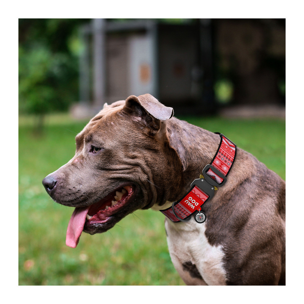 Нашийник для тварин WAUDOG Nylon з QR паспортом "Етно червоний" металева пряжка-фастекс XXL (4535-0133) - фото 3 Нашийник для тварин WAUDOG Nylon з QR паспортом "Етно червоний" металева пряжка-фастекс XXL (4535-0133) - фото 3