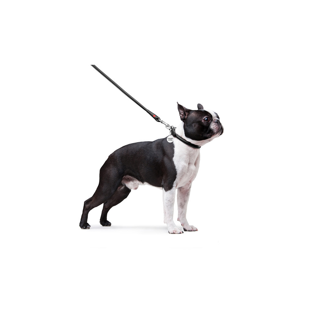 Повідець для собак WAUDOG Glamour круглий XS d 8 мм Д 122 см чорний (33771) - фото 3 Повідець для собак WAUDOG Glamour круглий XS d 8 мм Д 122 см чорний (33771) - фото 3