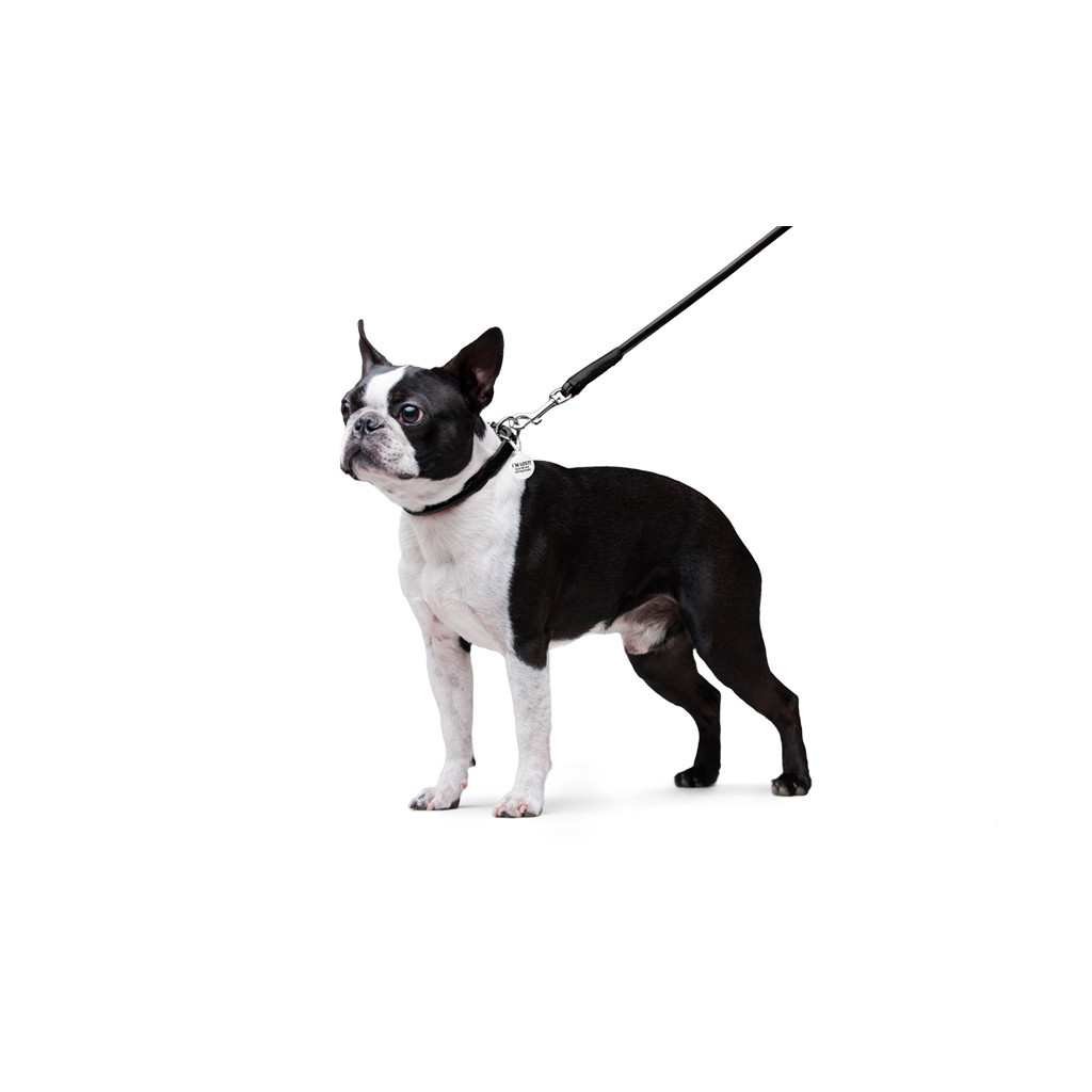 Повідець для собак WAUDOG Glamour круглий XS d 8 мм Д 122 см чорний (33771) - фото 5 Повідець для собак WAUDOG Glamour круглий XS d 8 мм Д 122 см чорний (33771) - фото 5