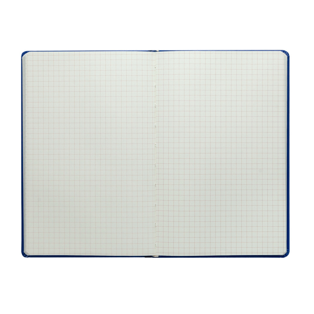 Книга записна Buromax Brief 96 аркушів А5 у клітинку зелений (BM.295104-04) - фото 4 Книга записна Buromax Brief 96 аркушів А5 у клітинку зелений (BM.295104-04) - фото 4