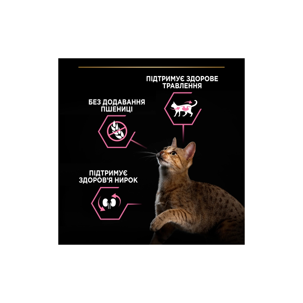 Сухий корм для кішок Purina Pro Plan Delicate Turkey зі смаком індички 1.5 кг (3222270884136) - фото 6 Сухий корм для кішок Purina Pro Plan Delicate Turkey зі смаком індички 1.5 кг (3222270884136) - фото 6