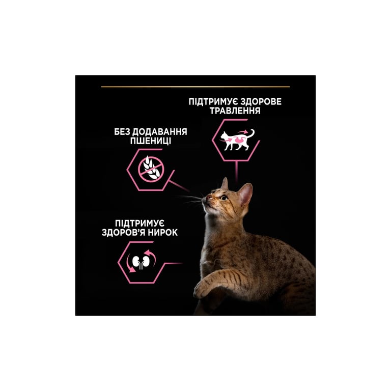 Сухий корм для кішок Purina Pro Plan Delicate Turkey зі смаком індички 1.5 кг (3222270884136) - фото 6