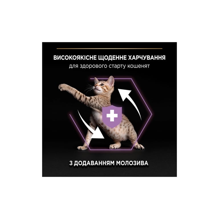 Сухий корм для кішок Purina Pro Plan Original Kitten до 12 місяців з куркою 1.5 кг (7613036505178) - фото 5