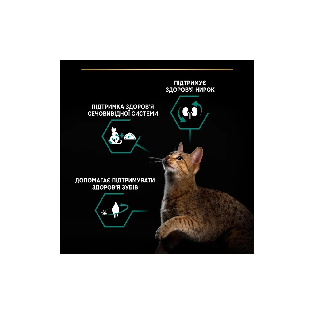 Сухий корм для кішок Purina Pro Plan Sterilised Adult 1+ Renal Plus Для дорослих стерилізованих З індичкою 400 г (7613033564673) - фото 5 Сухий корм для кішок Purina Pro Plan Sterilised Adult 1+ Renal Plus Для дорослих стерилізованих З індичкою 400 г (7613033564673) - фото 5