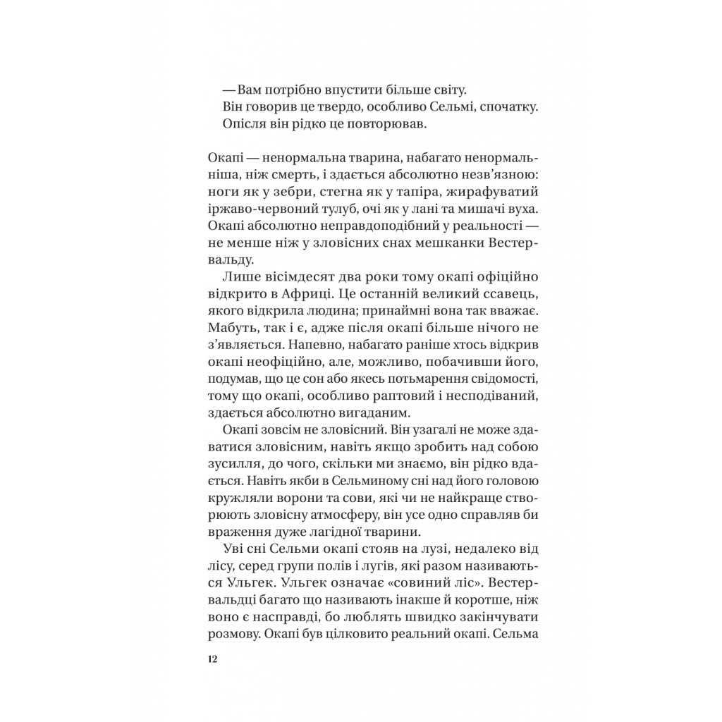 Книга Те, що видно звідси - Маріана Лекі Vivat (9786171703018) - фото 5 Книга Те, що видно звідси - Маріана Лекі Vivat (9786171703018) - фото 5