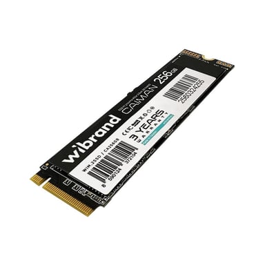 Накопичувач SSD M.2 2280 256GB Caiman Wibrand (WIM.2SSD/CA256GB) - фото 1