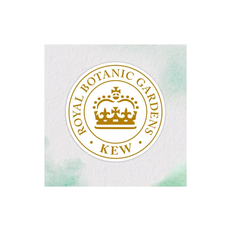 Маска для волосся Herbal Essences Арганова олія Відновлювальна 300 мл (8700216210966) - фото 3