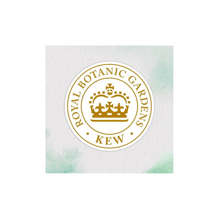 Шампунь Herbal Essences Апельсин Для об'єму волосся 350 мл (8700216210713) - фото 3