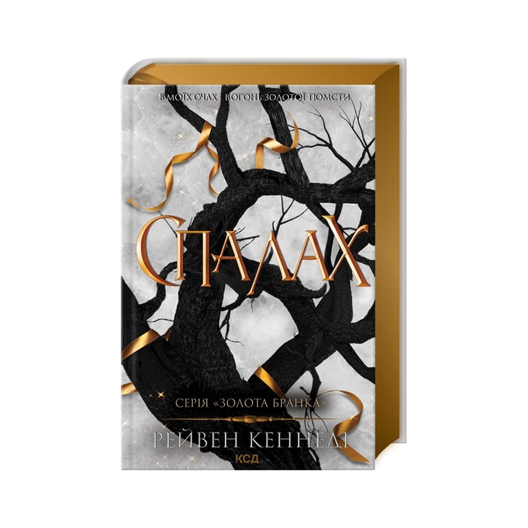 Книга Спалах - Рейвен Кеннеді КСД (9786171507975) - фото 1