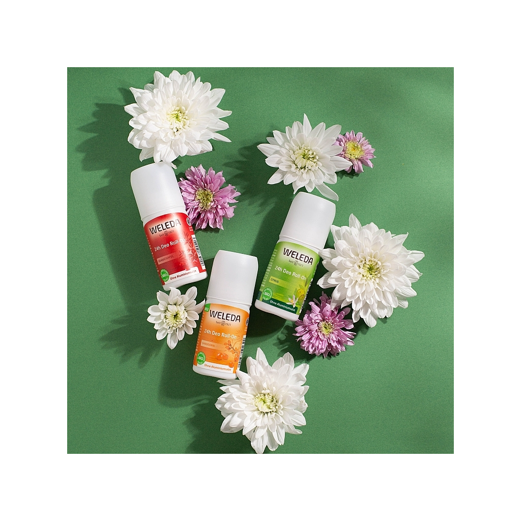 Дезодорант Weleda Sea Buckthorn 24h Deo Roll-On 50 мл (4001638502399) - фото 3 Дезодорант Weleda Sea Buckthorn 24h Deo Roll-On 50 мл (4001638502399) - фото 3