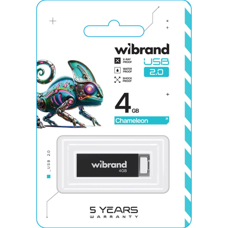 USB флеш накопичувач Wibrand 4GB Chameleon Black USB 2.0 (WI2.0/CH4U6B) - фото 2