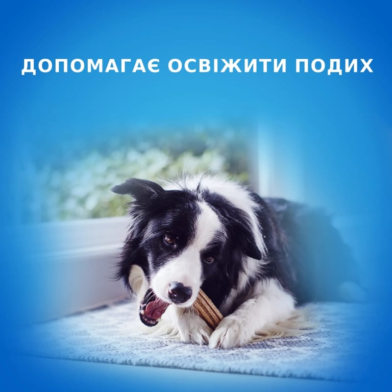Ласощі для собак Purina DentaLife Small Для підтримки здоров'я порожнини рота 115 г (8445291614550) - фото 2