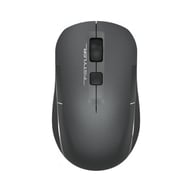 Мишка A4Tech FB26CS Air2 Wireless/Bluetooth Smoky Grey (4711421999090) - фото 1