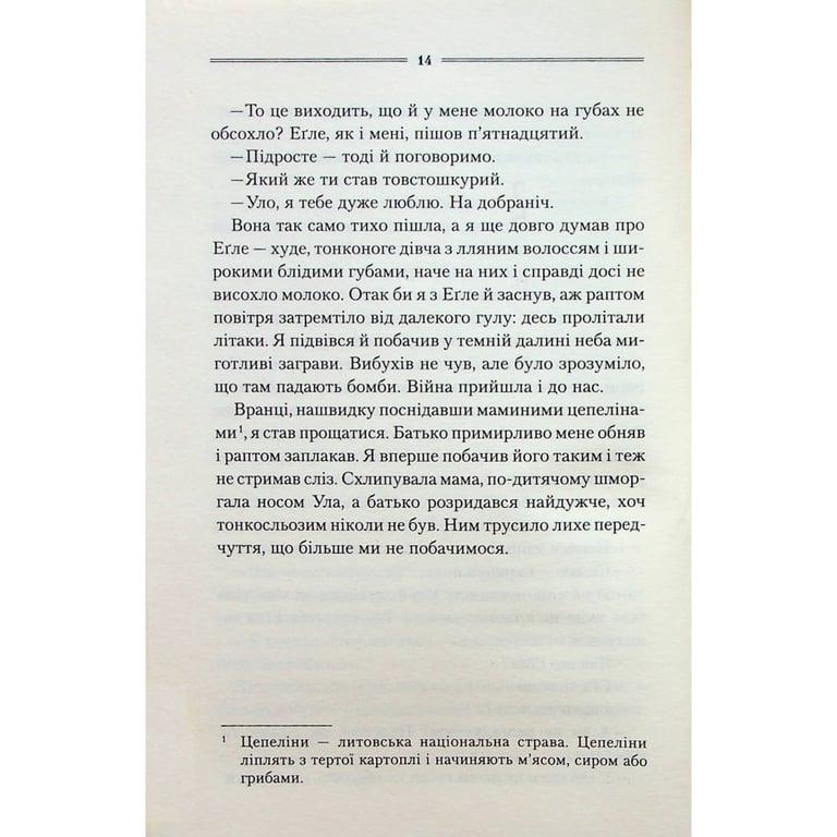 Книга Заячий костел - Василь Шкляр КСД (9786171511378) - фото 10