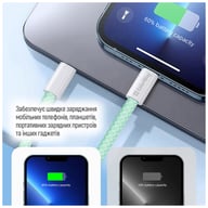Дата кабель USB-C to USB-C 1.0m 60W 3.0А green ColorWay (CW-CBPDCC061-G) - фото 4